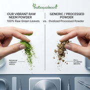 IndianJadiBooti Pure Neem Leaves Powder | Raw Azadirachta Indica for Skin Clarity, Scalp Vitality, Blood Purification & Deep Detox 100 Grams | Pack Of 2