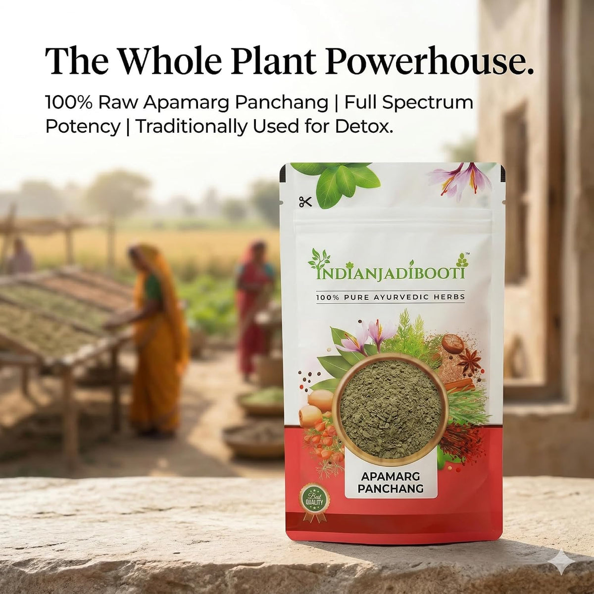 IndianJadiBooti Apamarg Panchang Powder (Chirchita/Latjira) – Pure Prickly Chaff Flower Whole Plant Powder – Natural Detox & Metabolic Support – Helps Maintain Digestive Health (100 Grams)