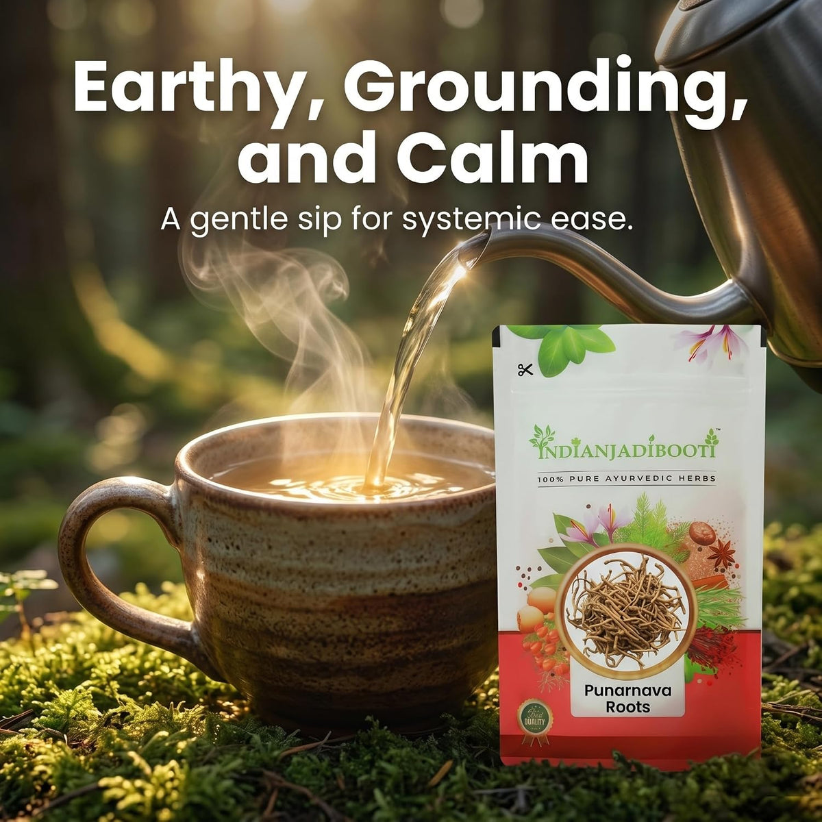 IndianJadiBooti Elite Systemic Harmony Bundle: Pipal Chaal, Punarnava, Kachnar Chaal & Amba Haldi – Promotes Lymphatic Flow, Tissue Health & Metabolic Balance – 400gm Each