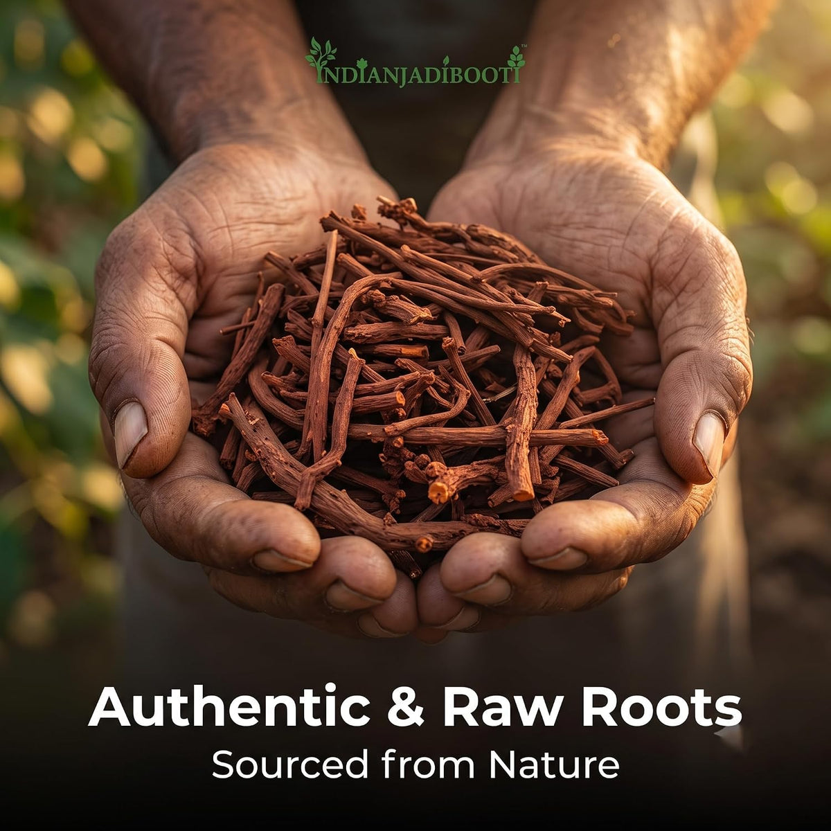 IndianJadiBooti Pure Manjistha Root | Traditional Ayurvedic Botanical for Skin Radiance, Complexion Vitality & Pitta-Grounding Wellness Rituals (900 Grams) | (Pack Of 2)