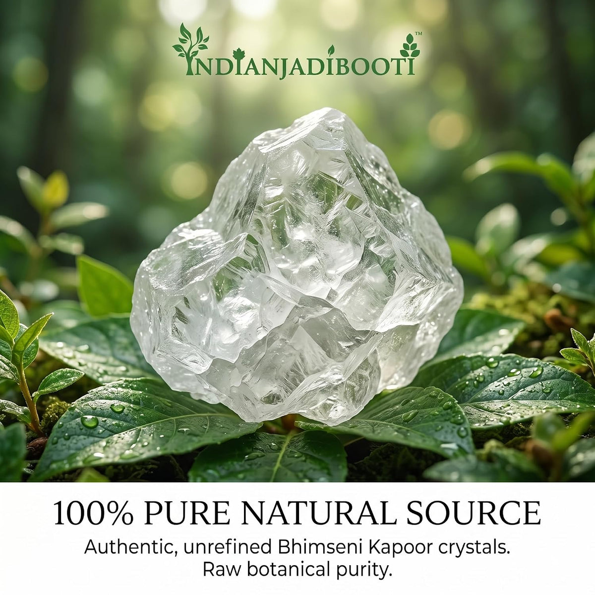IndianJadiBooti Premium Bhimseni Kapoor – 100% Pure Natural Camphor Crystals for Pooja, Diffuser & Vastu – No Wax, No Residue, Pacha Karpooram for Meditation & Air Purification (100g (The Trial Pack))