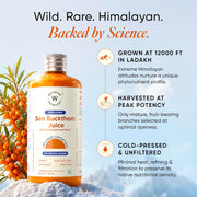 Wellbeing Nutrition Himalayan Sea Buckthorn Pulp With Curcumin Extract |Cold-Pressed, Liquid Concentrate Juice| Natural Vitamin C, Omega 3, 6, 7, 9 & Antioxidants |Supports Immunity, Skin Glow & Gut Health| 500ml