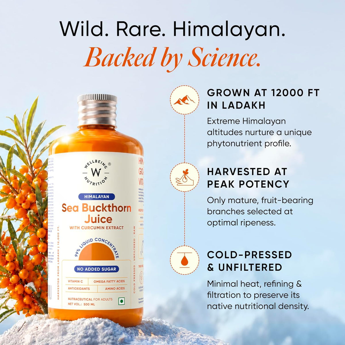 Wellbeing Nutrition Himalayan Sea Buckthorn Pulp With Curcumin Extract |Cold-Pressed, Liquid Concentrate Juice| Natural Vitamin C, Omega 3, 6, 7, 9 & Antioxidants |Supports Immunity, Skin Glow & Gut Health| 500ml