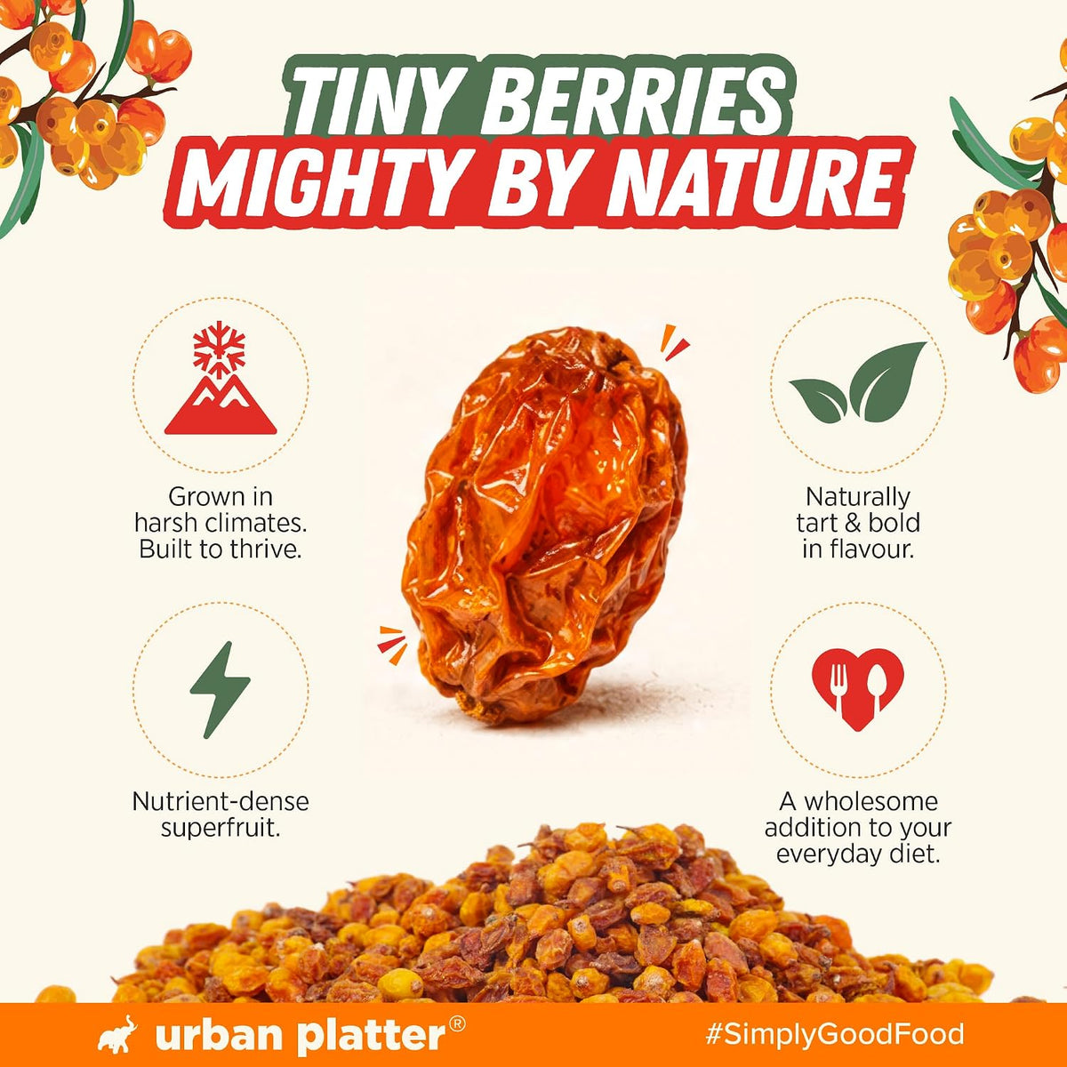 Urban Platter Dried Sea Buckthorn Berries, 100g (High in Vitamin A | High in Fiber | Tart & Tangy Superfruit | Add to Trail Mixes, Smoothies, Teas & Baking)