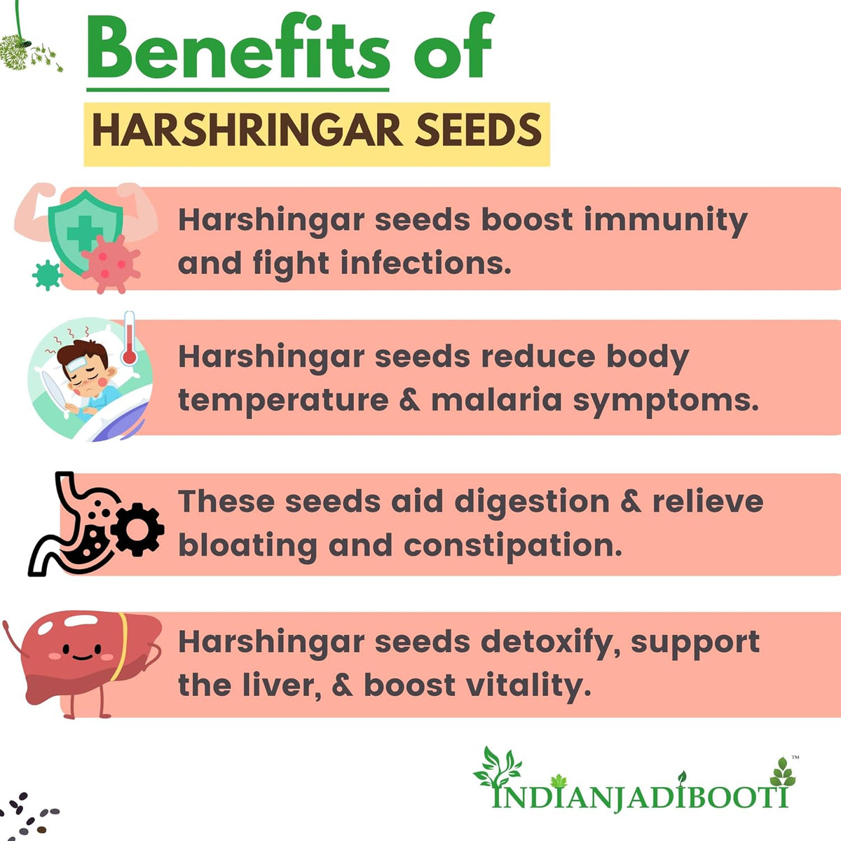 IndianJadiBooti Edible Harshringar Seeds (Nyctanthes arbor-tristis) | 100 Grams | (Pack Of 2)