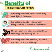 IndianJadiBooti Edible Harshringar Seeds (Nyctanthes arbor-tristis) | 100 Grams | (Pack Of 2)