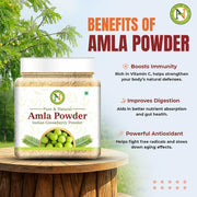 NatureVit Amla Powder 100g for Hair Growth | 100% Pure & Natural Indian Gooseberry Eating | Rich in Vitamin C | No Additives