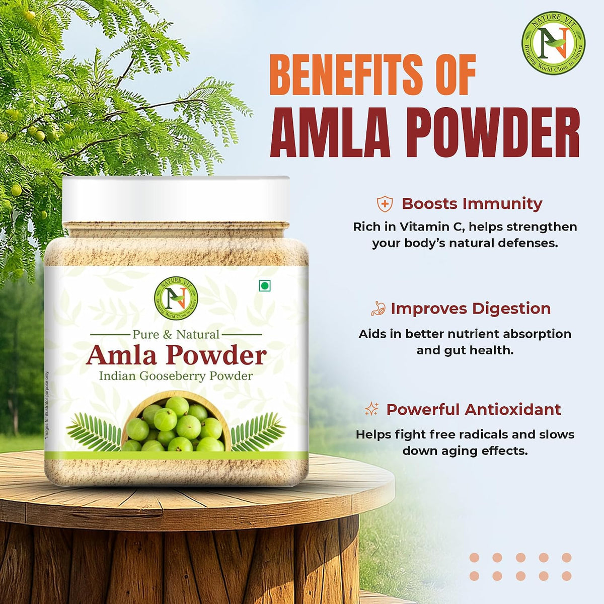 NatureVit Amla Powder 100g for Hair Growth | 100% Pure & Natural Indian Gooseberry Eating | Rich in Vitamin C | No Additives