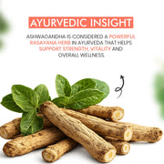 Brijbooti Ashwagandha Root (250 Gr) - Natural Asgandh - Indian Ginseng - Withania Somnifera