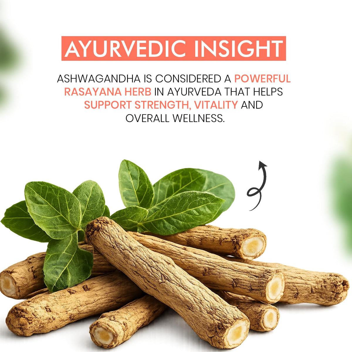 Brijbooti Pure Ashwagandha Root 100 Gm| Withania Somnifera | Pure & Natural