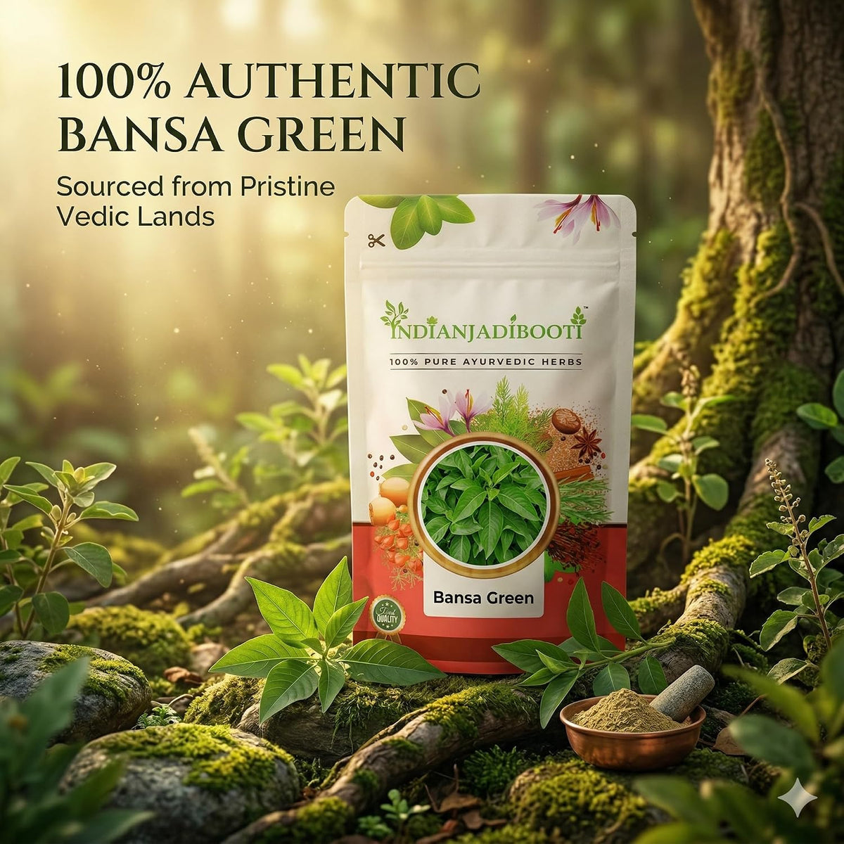 IndianJadiBooti Bansa Green | Malabar Nut | Adulsa | Adhatoda Vasaka | ADHATODA VASICA (100 Grams)