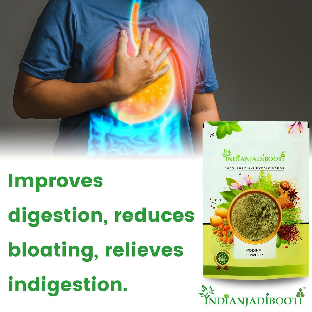 IndianJadiBooti Podina Mint Powder, 900 Grams Pack