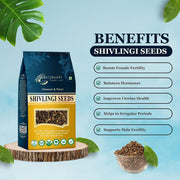 Brijbooti Shivlingi Beej 400 Gr | Shivlangi | Shivling | Sivalingi Seed | Bryonia laciniosa