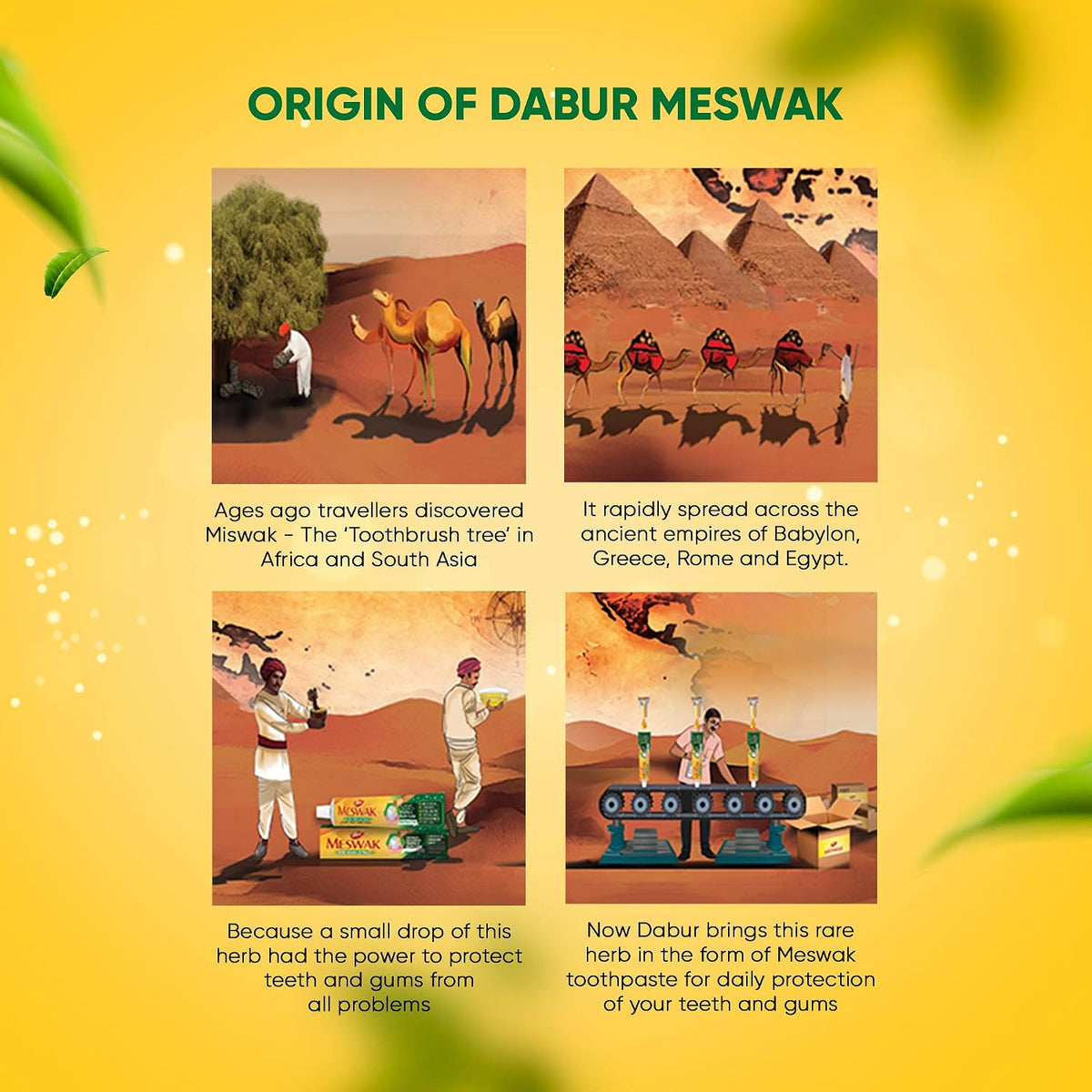 Dabur Meswak Complete Oral Care Toothpaste - 500g (2 x 200g + 1 x100g) & Dabur Tulsi Drops : 30ml (20ml + 10ml Free) | Contains Extracts of 5 Rare Tulsi COMBO