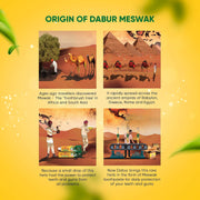 Dabur Meswak Complete Oral Care Toothpaste - 500g (2 x 200g + 1 x100g) | Complete Oral & Gum Care Toothpaste | Contains Pure & Rare Miswak extract | No added Fluoride, Paraben, Triclosan & Formalin