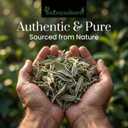 IndianJadiBooti Sage (Leaves) (100 Grams)