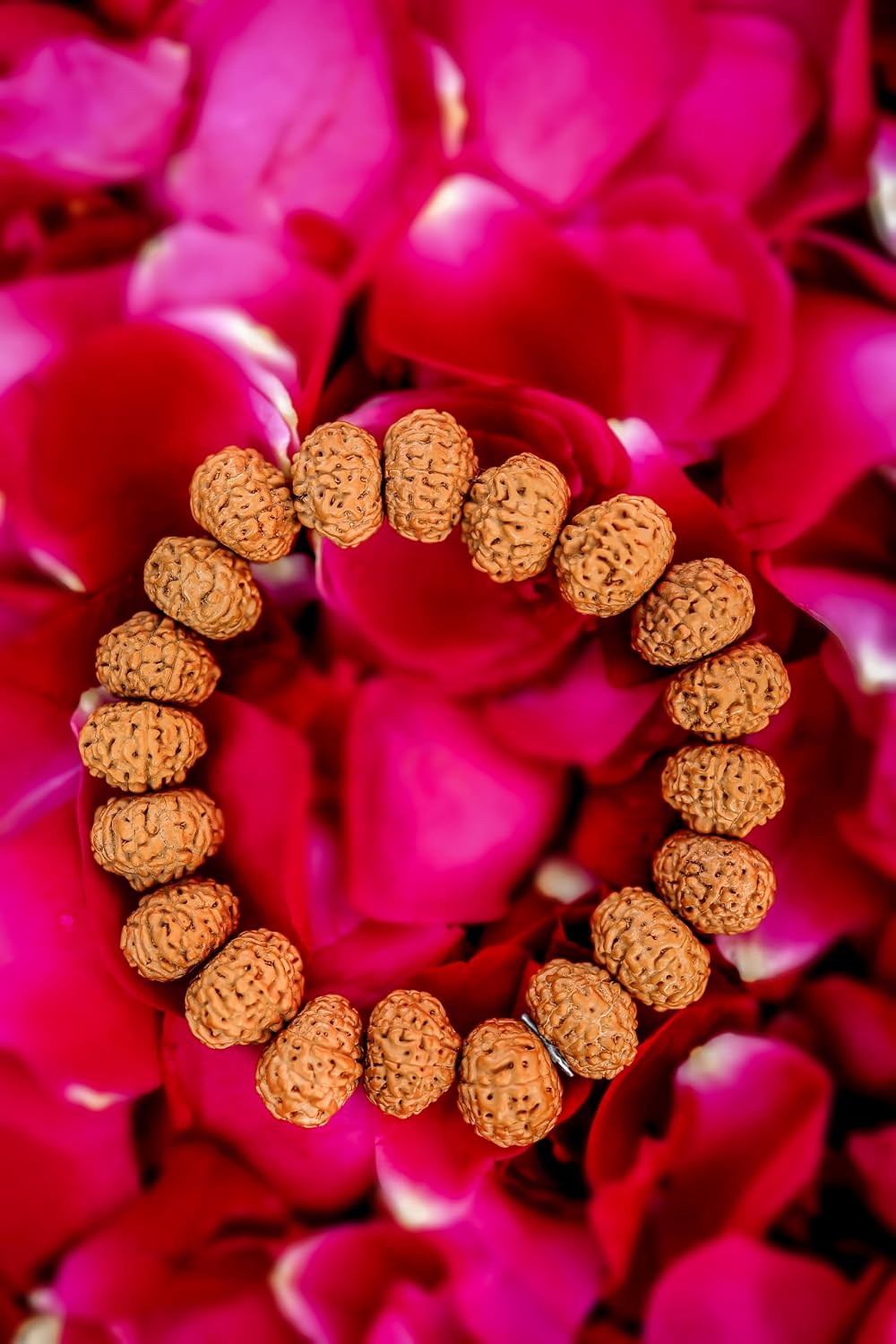 RUDRADIVINE 7 Mukhi Rudraksha Bracelet Certified Energized 7 Mukhi Rudraksha Bracelet Adjustable Unisex