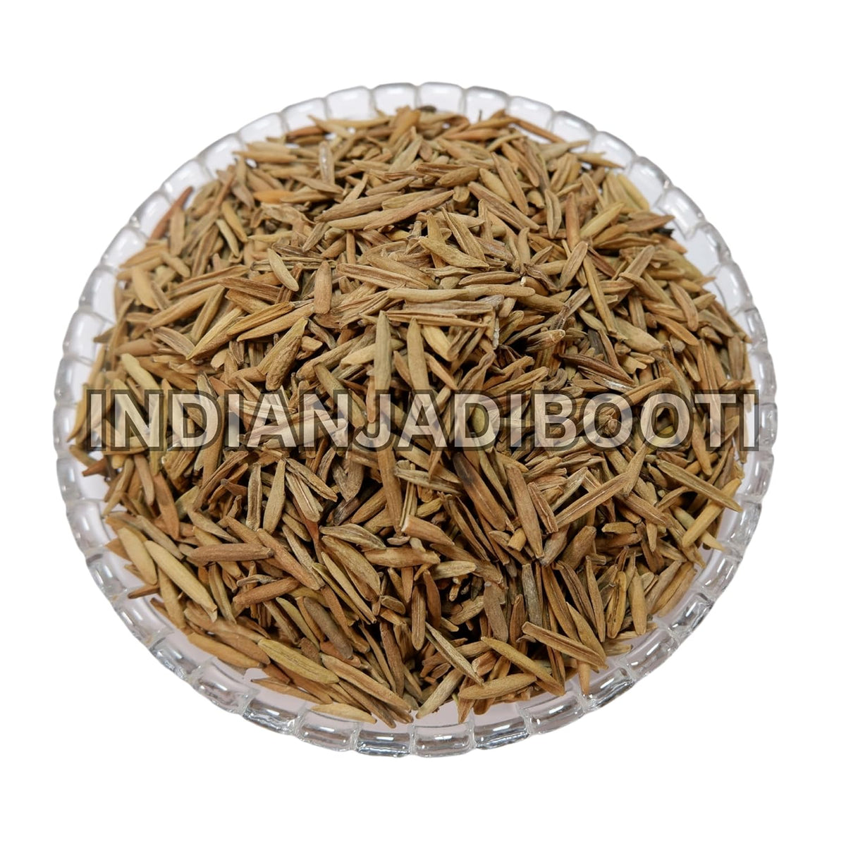 IndianJadiBooti Indrajau Kadwa,Holarrhena Pubescens | Bitter Inderjau Seeds for Healthy Sugar Levels & Digestion | Natural Kutaj Beej for Detox & Madhumeha | Raw & Pure | (400 Grams) | Pack Of 3