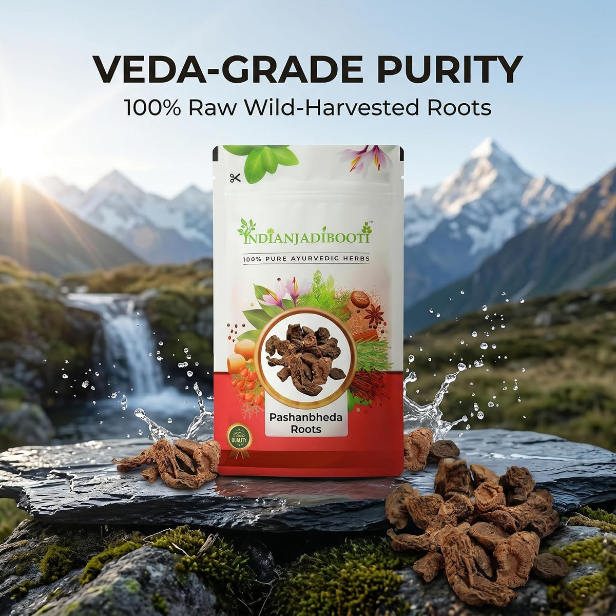 IndianJadiBooti Elite Kidney & Urinary Health Bundle: Varun Chaal, Pashanbheda & Punarnava – For Renal Detox, Stone Support & Fluid Balance – 100gm Each