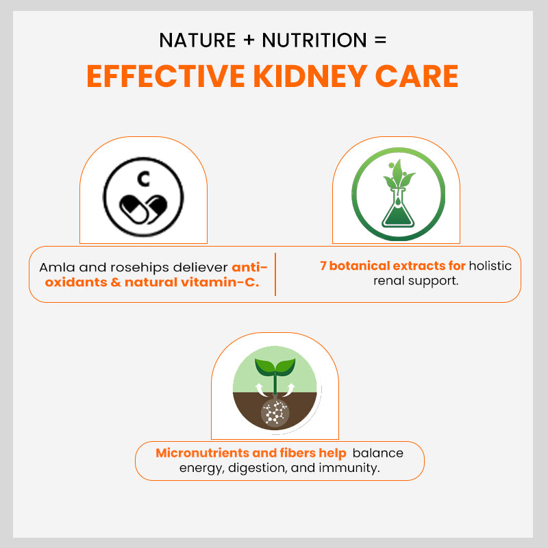Patanjali Nutrela Renal Health Powder