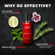 Beardo Midnight Legacy Combo for Men- LSD & GodFather Perfume for Men (50ml x 2) | Long Lasting Fragrance | Long Lasting Perfume for Men | Gift for Men | Gift for Friend