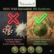 IndianJadiBooti Elite Orthopedic & Metabolic Bundle: Hadjod, Kurand Grass & Harad – Promotes Bone Integrity, Digestive Clearance & Systemic Resilience – 100gm Each