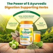 Dabur Orange Flavoured Isabgol with the Power of 5 Herbal Boosters — including Triphala, Saunf & Psyllium Husk — for Daily Bowel Regularity.