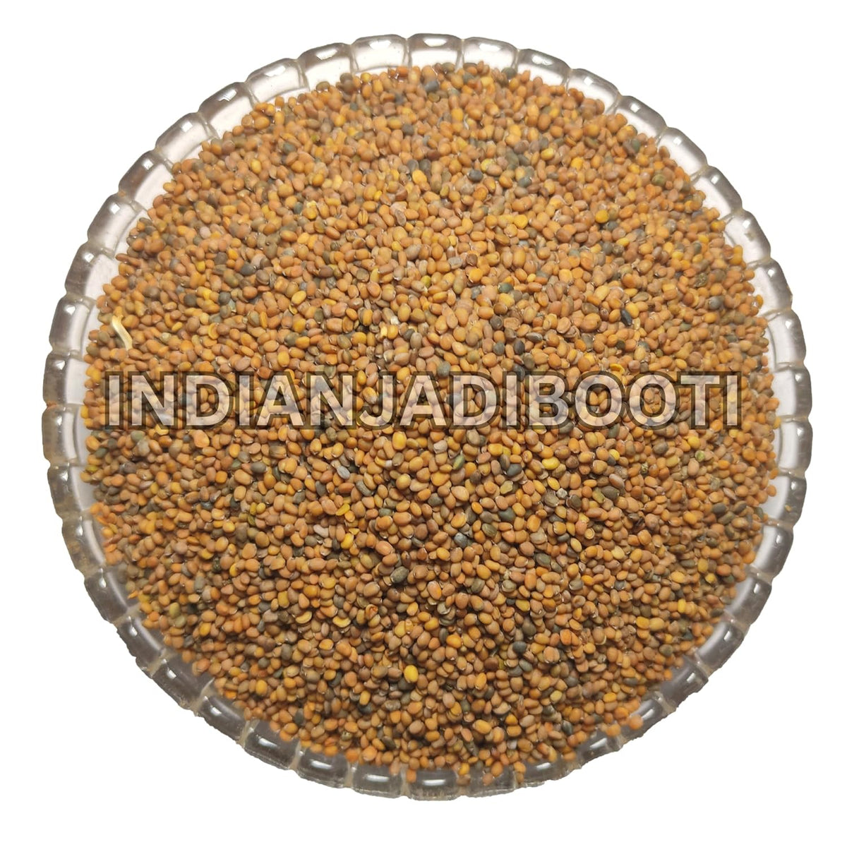 IndianJadiBooti Taramira Seeds - Jamba Beej - Eruca Sativa (Rocket Mustard) - Natural Spice for Pickles (Achar) & Hair Oil Extraction - 100g