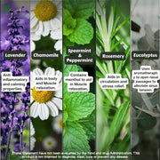 The Old Natural Migraway Roll On | Essential Oil Blend for Head Comfort, Relaxation & Stress Relief | Lavender, Rosemary, Chamomile, Brahmi & Lemongrass Oils | Travel Friendly Aromatherapy Roll On | 10ml