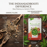 IndianJadiBooti Bansa Green | Malabar Nut | Adulsa | Adhatoda Vasaka | ADHATODA VASICA (100 Grams)