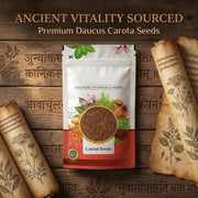 IndianJadiBooti Pure Dried Carrot Seeds (Daucus Carota) | Botanical for DIY Skin Infusions, Digestive Harmony & Warming Compounding | 100 Grams