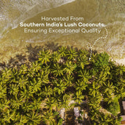 Urban Platter Unsweetened Coconut Cream, 250ml (23% Fat, Additive-Free, Made in India, 100% Pure & Thick, Clean Label)