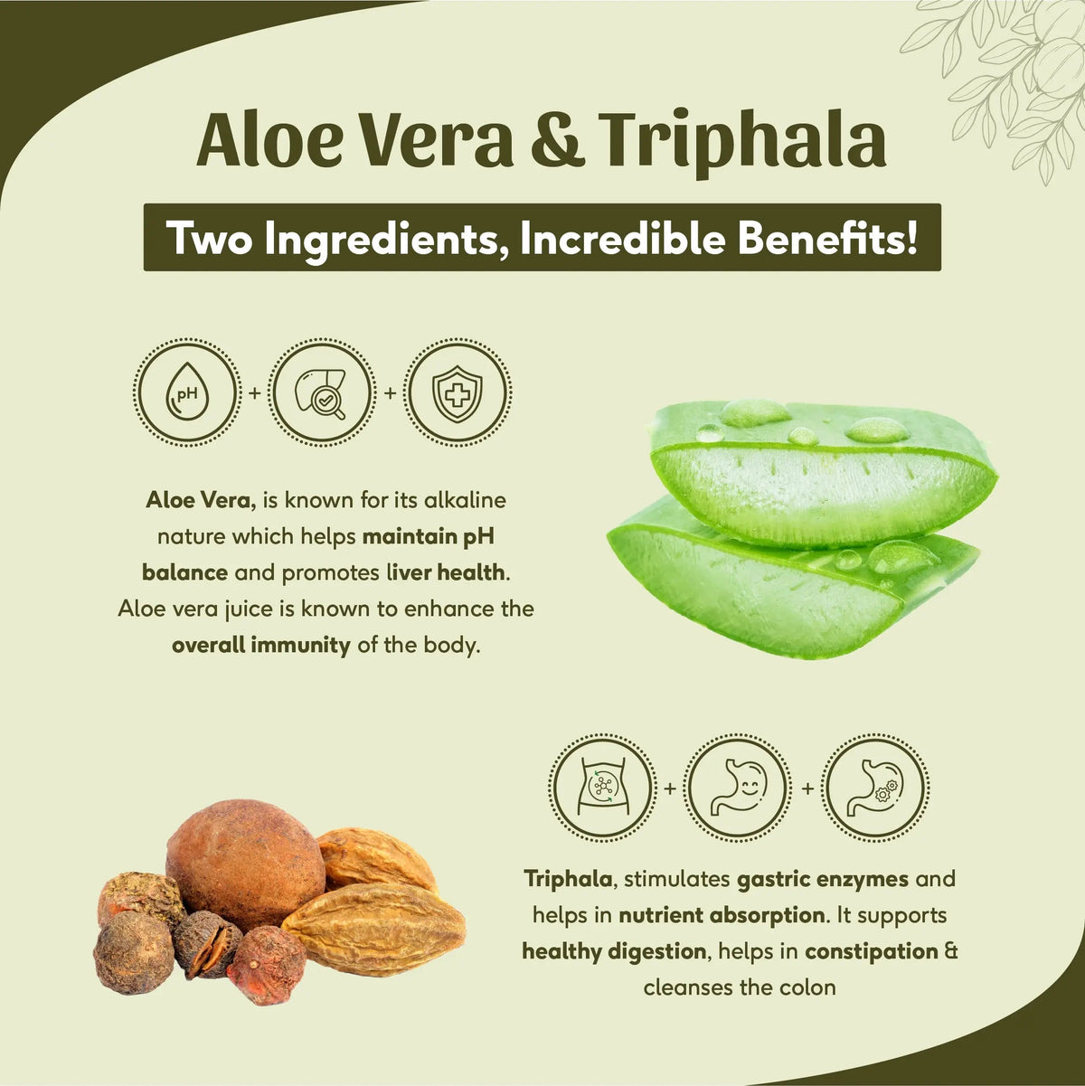 Sri Sri Tattva Aloe Vera Triphala Juice - Fibre Rich Daily Detox | Gentle Inner Cleanse, Digestive Support, Weight Management | No Added Sugar | 500 ml