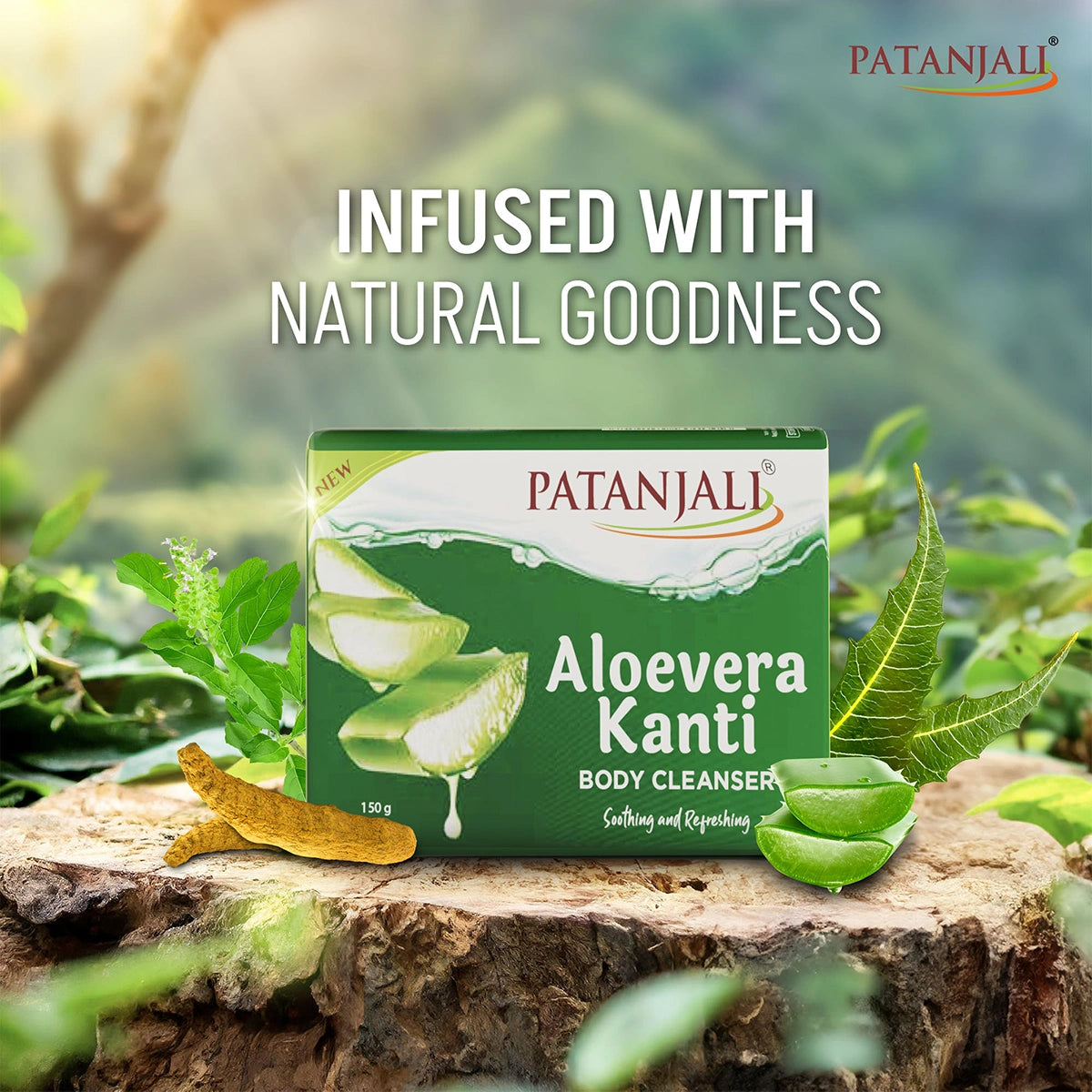 Patanjali Aloevera Kanti Body Cleanser