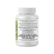 Sri Sri Tattva Amla - Anti Oxidant, 60 Tabs | 500 mg