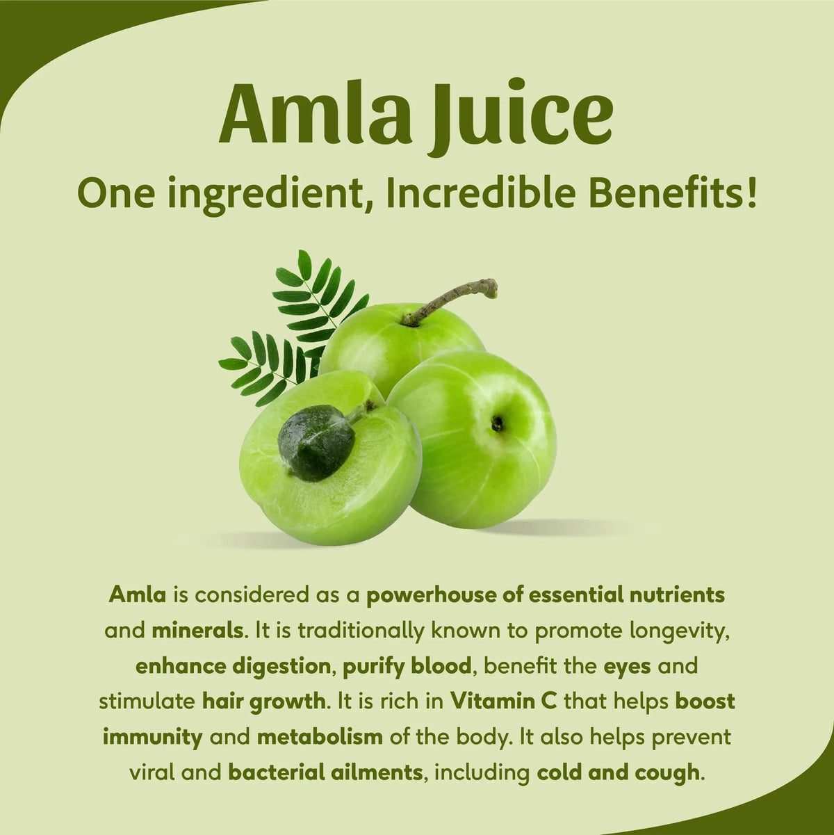 Sri Sri Tattva Amla Juice - Energise With Vitamin C | Rejuvenator, Immunity Builder, Antioxidant | No Added Sugar | 1 L