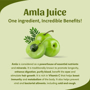 Sri Sri Tattva Amla Juice - Energise With Vitamin C | Rejuvenator, Immunity Builder, Antioxidant | No Added Sugar | 1 L