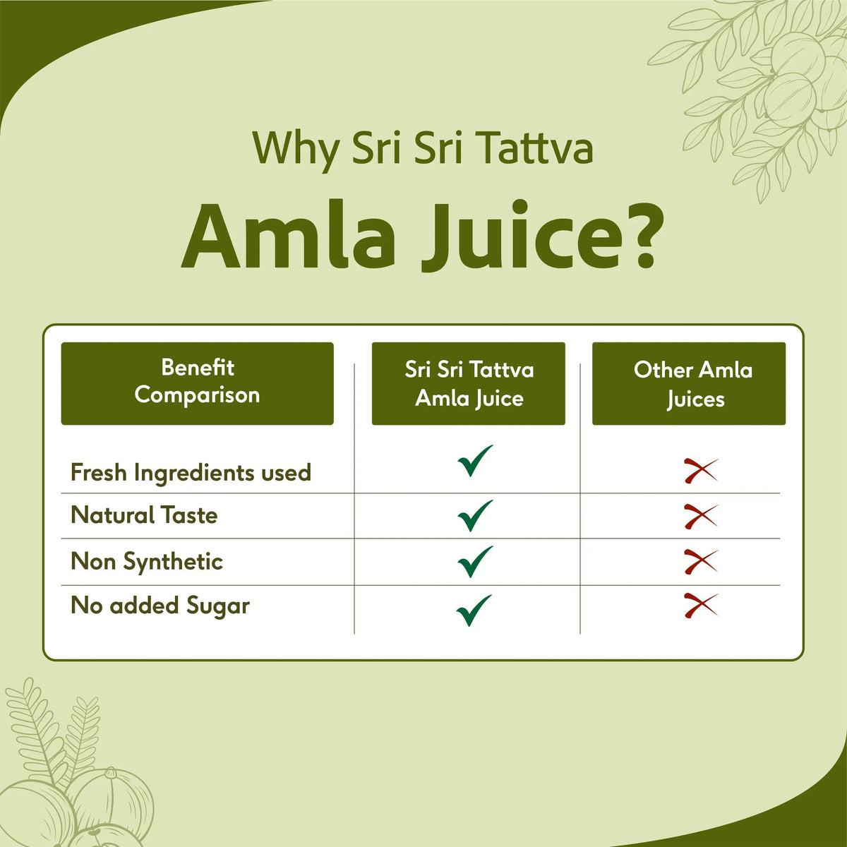 Sri Sri Tattva Amla Juice - Energise With Vitamin C | Rejuvenator, Immunity Builder, Antioxidant | No Added Sugar | 1 L