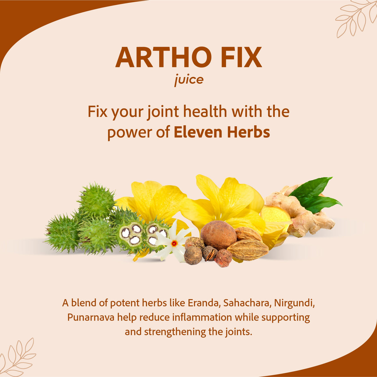 Sri Sri Tattva Artho Fix Juice | Supports Joint Health & Improves Mobility | 1 L