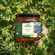Two Brothers Organic Farms Indian Berry Honey, Raw Mono-Floral Unfiltered