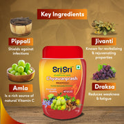 Sri Sri Tattva Chyawanprash - Herbal Immunity Booster with 40+ Ayurvedic Ingredients for Better Strength and Stamina, 250 g