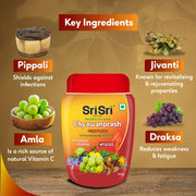 Sri Sri Tattva Chyawanprash - Herbal Immunity Booster with 40+ Ayurvedic Ingredients for Better Strength and Stamina, 500 g