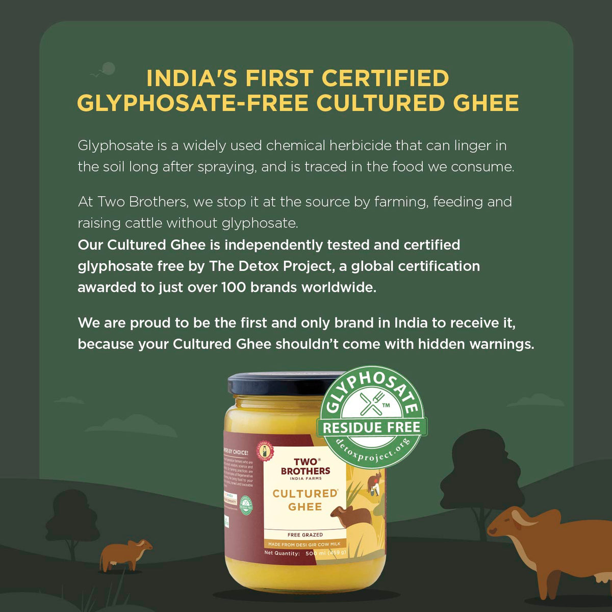 Two Brothers Organic Farms Desi Gir Cow Cultured Ghee