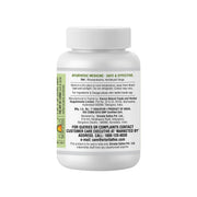 Sri Sri Tattva Haritaki - Digestive aid, 60 Tabs | 500 mg