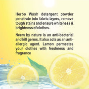 Patanjali Herbo Wash Detergent Powder