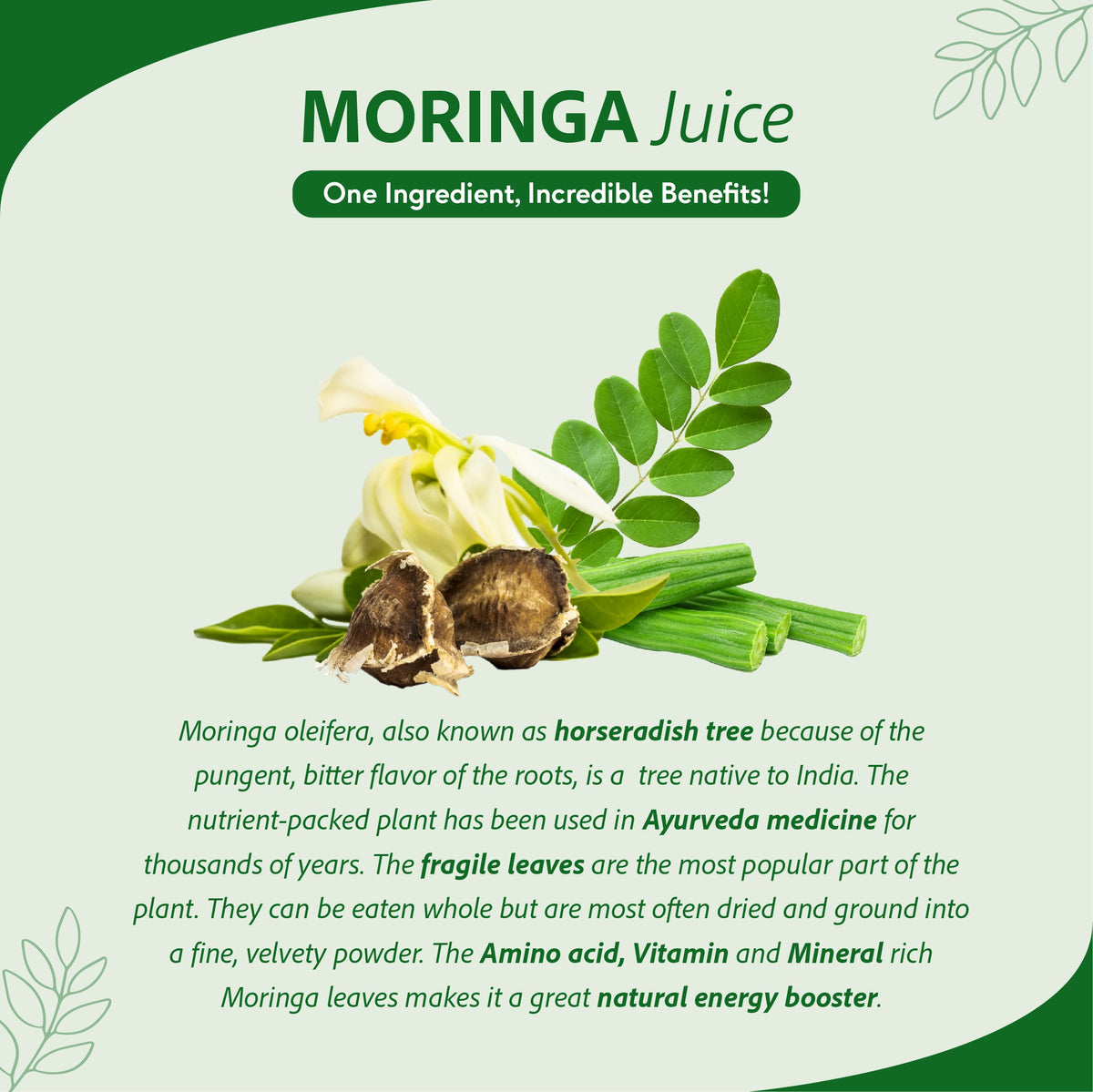 Sri Sri Tattva Moringa Juice - Powerhouse Of Nutrients | Superfood, Rich In Vitamin A,C,B, Calcium, Iron And Antioxidants, Blood Purifier | 1 L