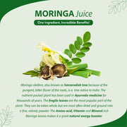 Sri Sri Tattva Moringa Juice - Powerhouse Of Nutrients | Superfood, Rich In Vitamin A,C,B, Calcium, Iron And Antioxidants, Blood Purifier | 1 L
