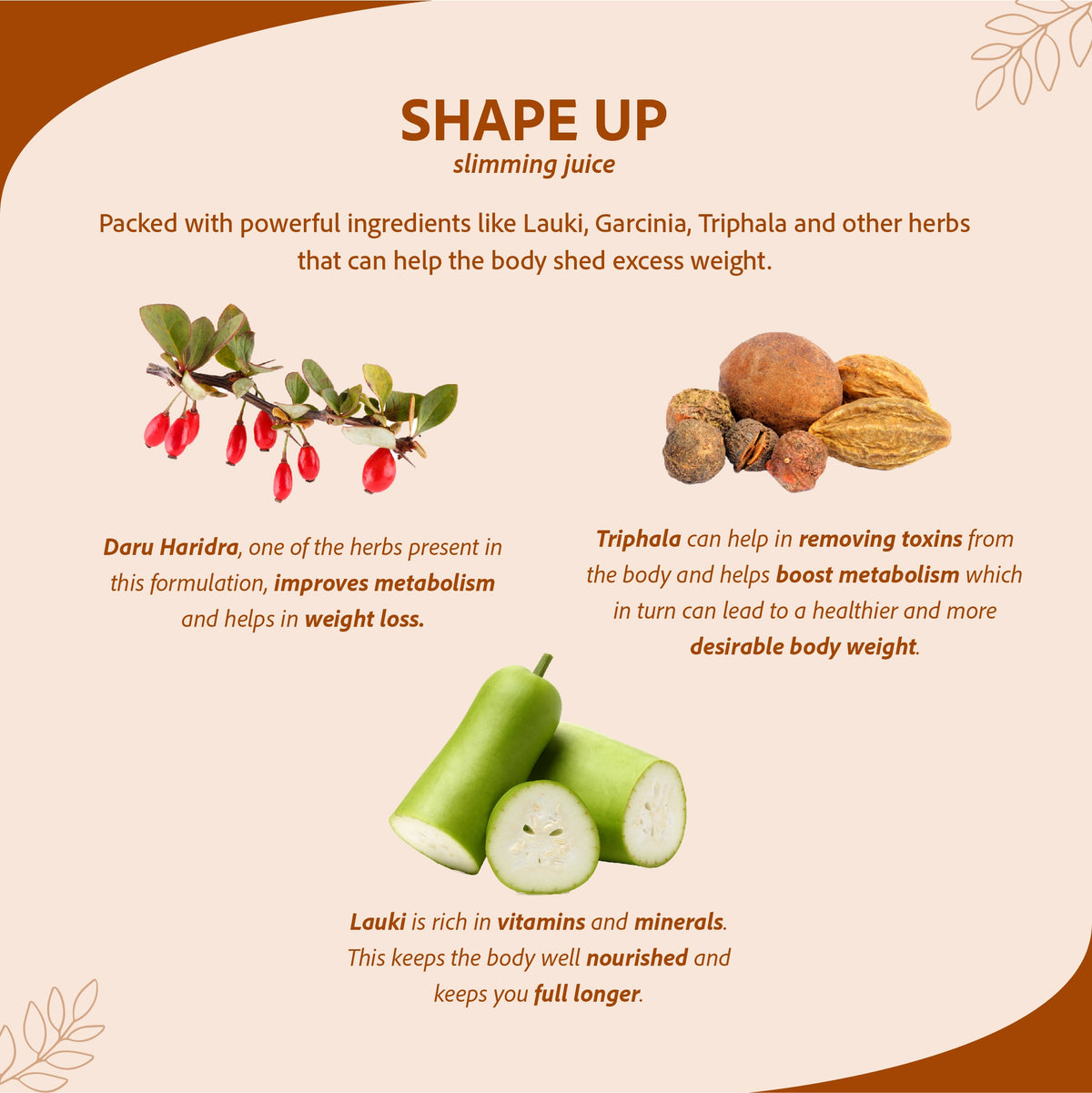 Sri Sri Tattva Shape Up, Slimming Juice | 1 L