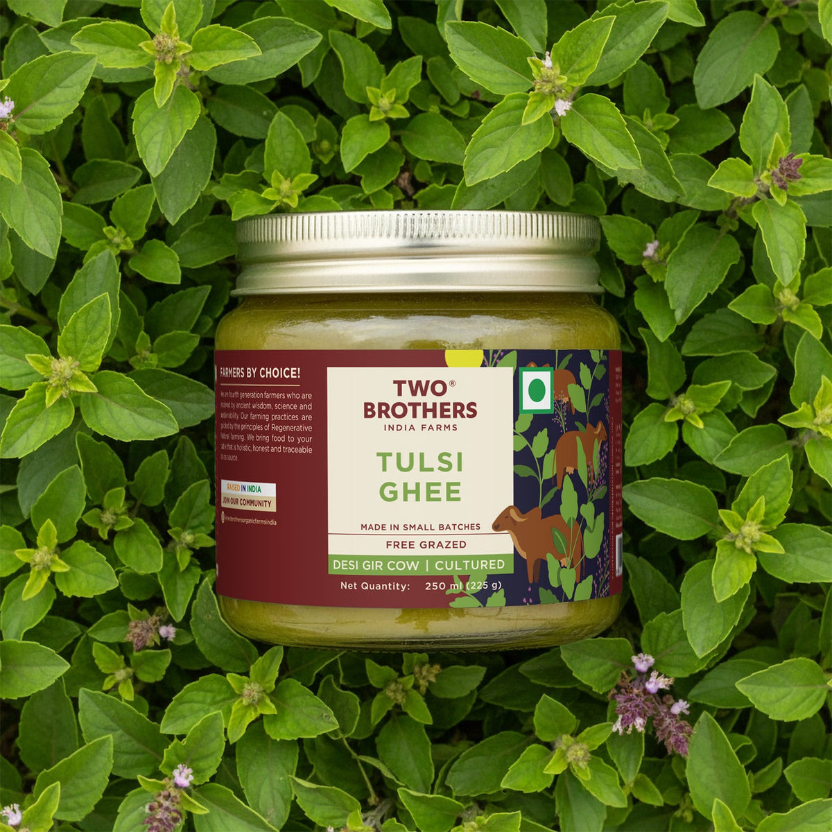 Two Brothers Organic Farms Tulsi Ghee