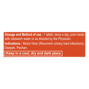 Patanjali Divya UTInil Tablet 3 U X 10 N